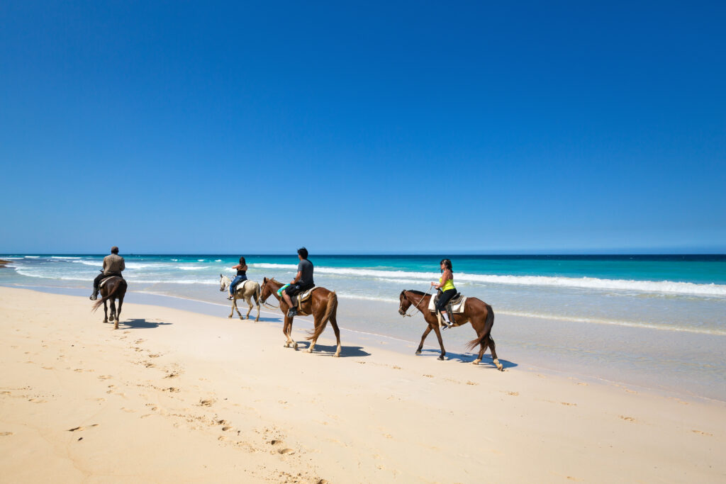 Enjoying Horseback Riding Punta Cana Tour: An Unforgettable Experience